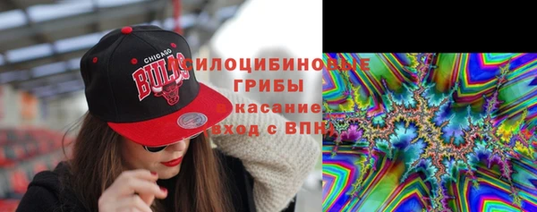 МДПВ Алексеевка