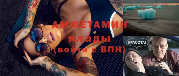 ГАЛЛЮЦИНОГЕННЫЕ ГРИБЫ Алексин