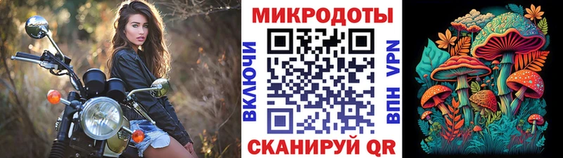 где продают   Муравленко  Галлюциногенные грибы Magic Shrooms 