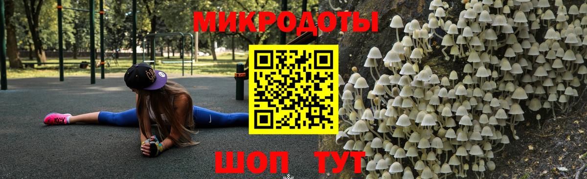 Псилоцибиновые грибы Cubensis  Вход с VPN  Муравленко 